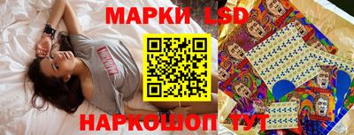 ПСИЛОЦИБИНОВЫЕ ГРИБЫ Аргун