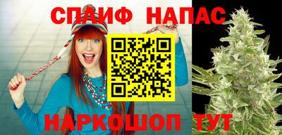 ПСИЛОЦИБИНОВЫЕ ГРИБЫ Аргун