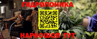 сатива Апшеронск