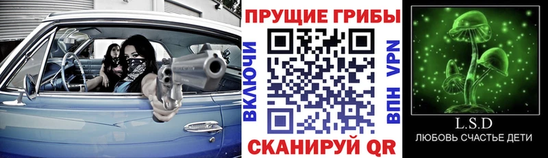 Псилоцибиновые грибы GOLDEN TEACHER  Сибай 