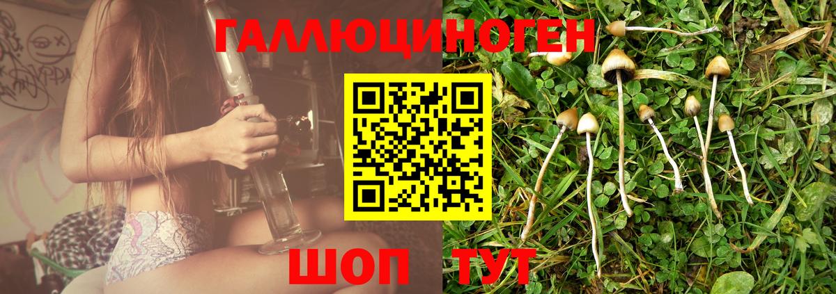 Галлюциногенные грибы Magic Shrooms  Сибай  Псилоцибиновые грибы Psilocybe 