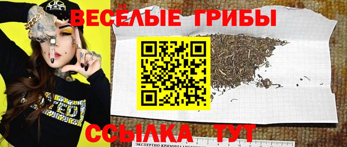 Галлюциногенные грибы Psilocybe  Вход с VPN  Псилоцибиновые грибы мицелий  Сибай 